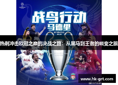 热刺冲击欧冠之巅的决战之路：从黑马到王者的蜕变之旅