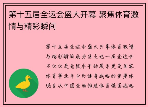 第十五届全运会盛大开幕 聚焦体育激情与精彩瞬间